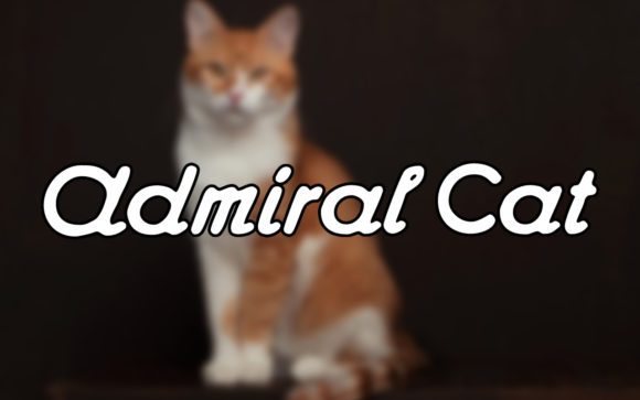 Admiral Cat: A Vintage Handwritten Font for Modern Creators