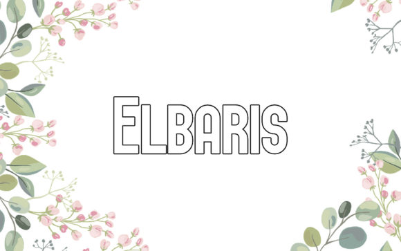 Elbaris: The Sans Serif Font for Modern, Minimalist Design